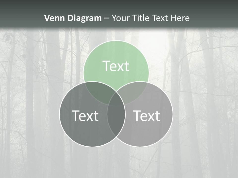 Wet Copy Season PowerPoint Template