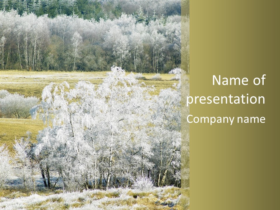 Nature Wintertime Wood PowerPoint Template