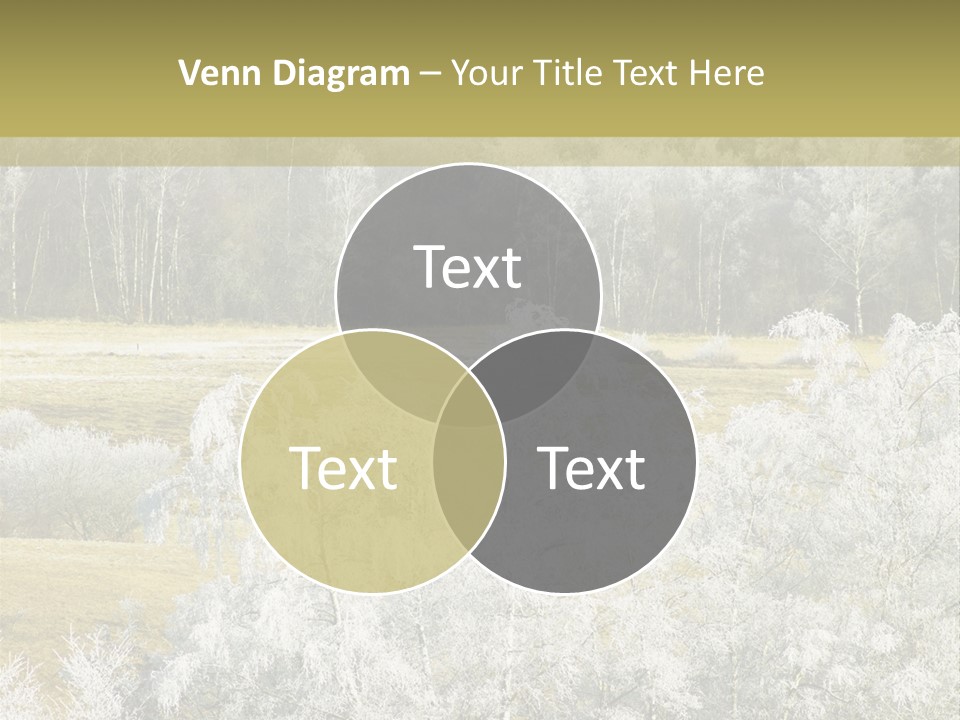 Nature Wintertime Wood PowerPoint Template