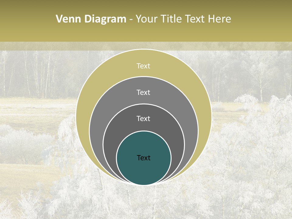 Nature Wintertime Wood PowerPoint Template