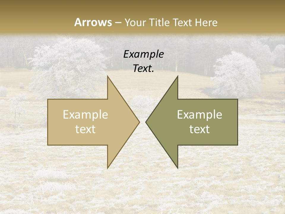 Trees Winter Motives Winter Season PowerPoint Template