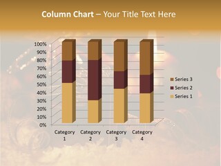 Present Eve Background PowerPoint Template