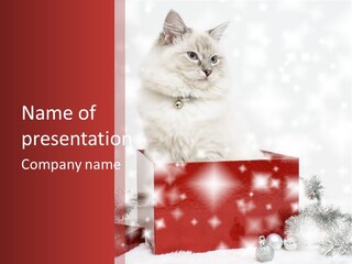 Tag Tinsel Sparkle PowerPoint Template