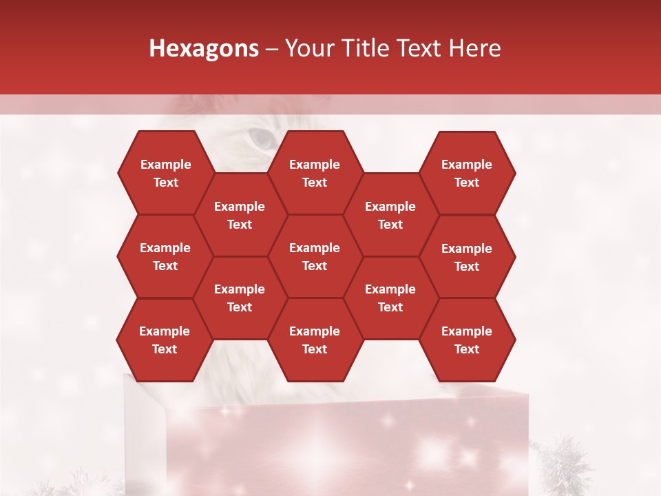 Tag Tinsel Sparkle PowerPoint Template