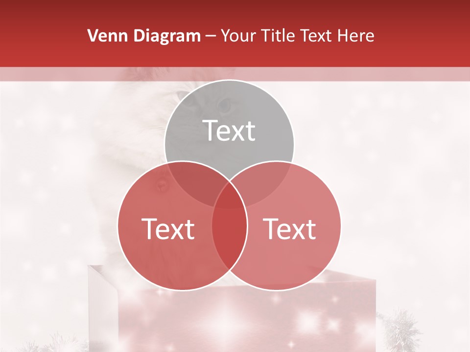 Tag Tinsel Sparkle PowerPoint Template