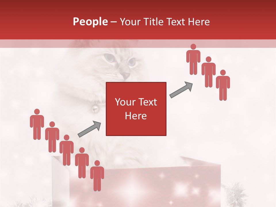 Tag Tinsel Sparkle PowerPoint Template
