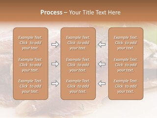 Fresh Tasty Antipasto PowerPoint Template