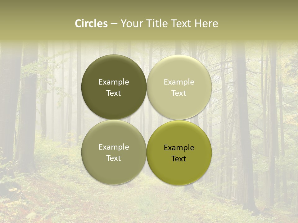 Vivid Branch Leaf PowerPoint Template