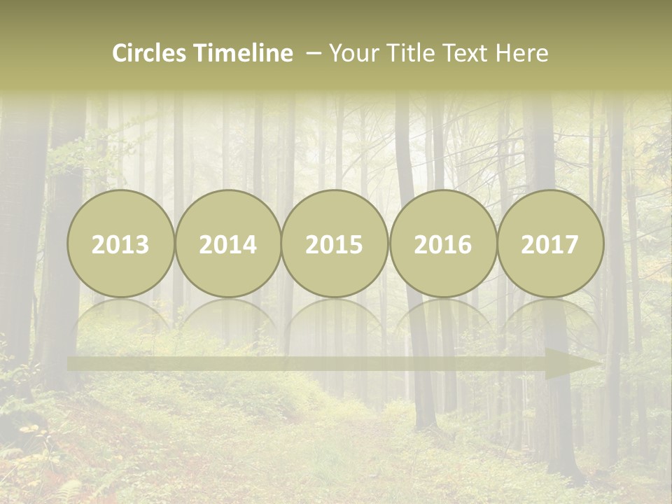 Vivid Branch Leaf PowerPoint Template