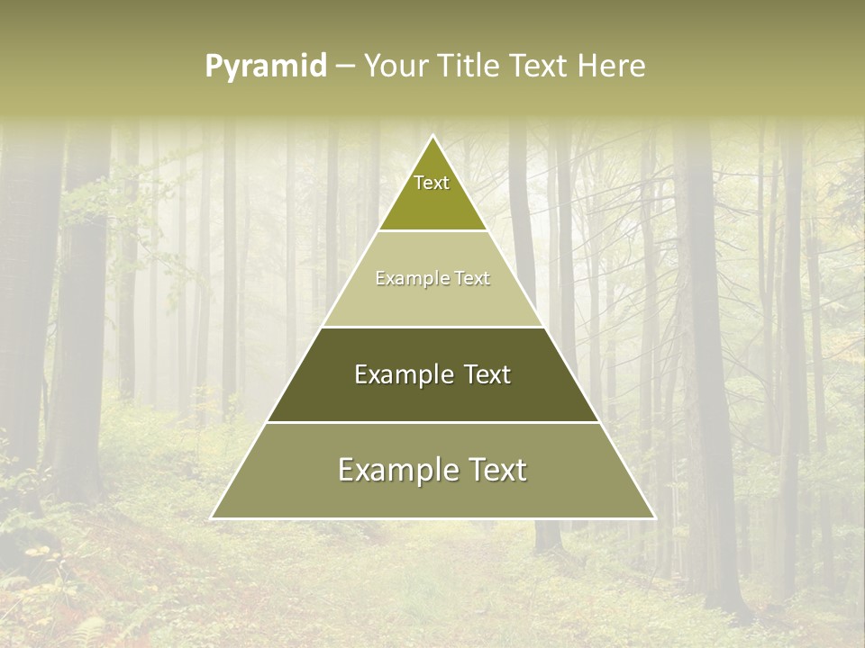 Vivid Branch Leaf PowerPoint Template