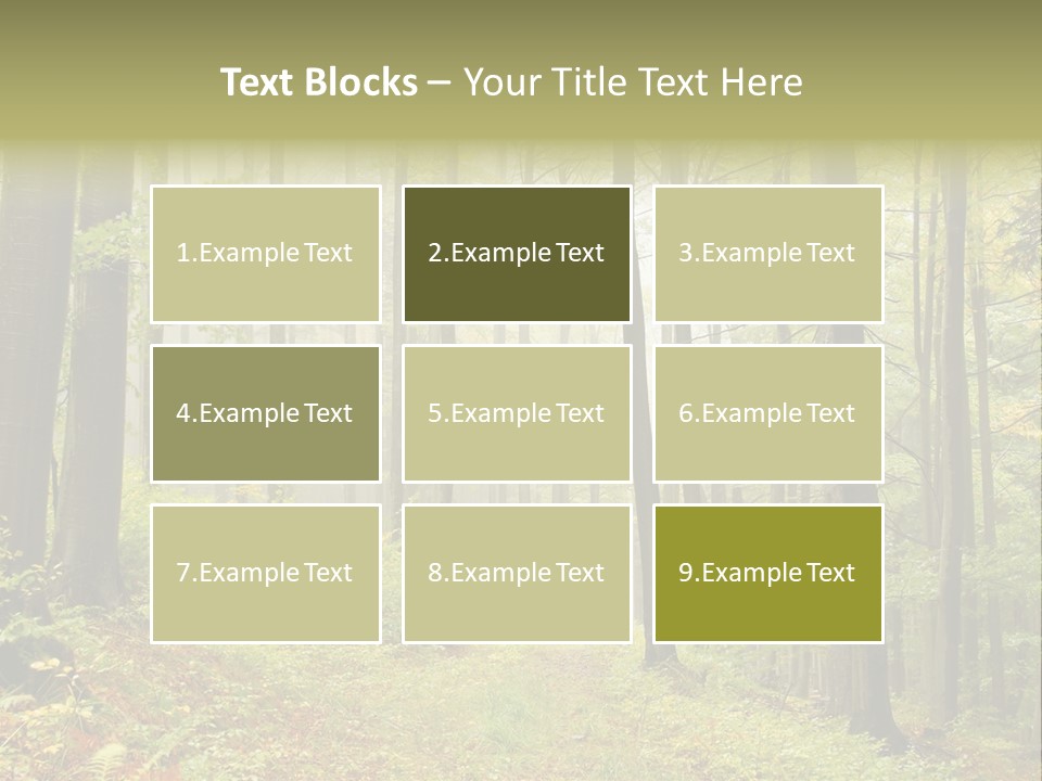 Vivid Branch Leaf PowerPoint Template