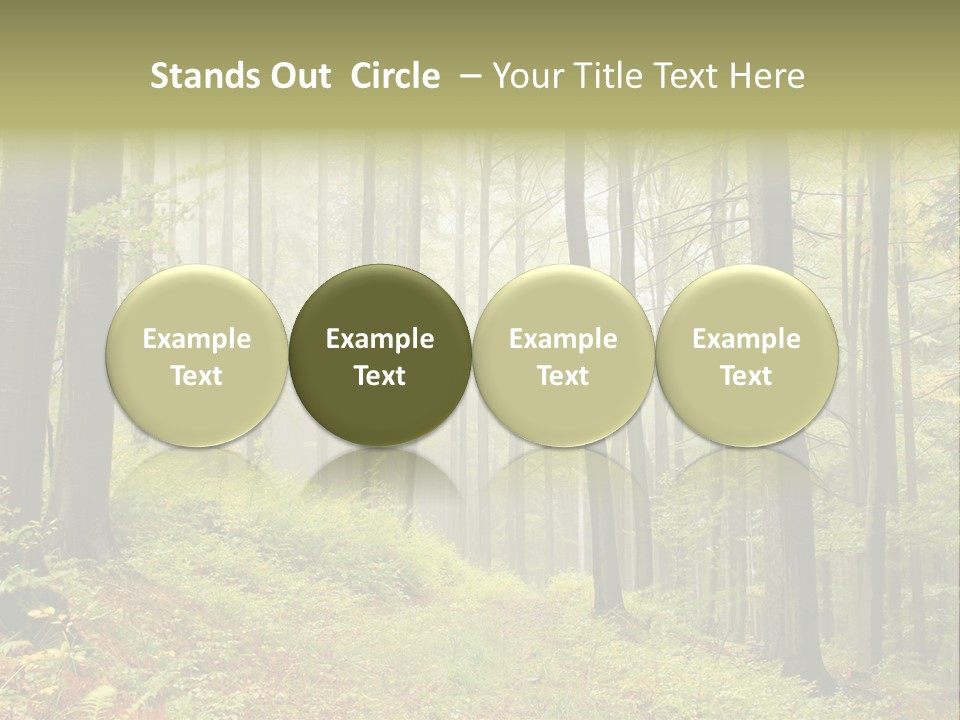 Vivid Branch Leaf PowerPoint Template