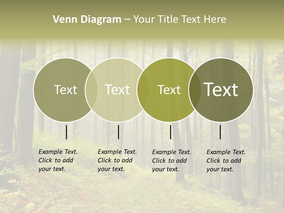 Vivid Branch Leaf PowerPoint Template