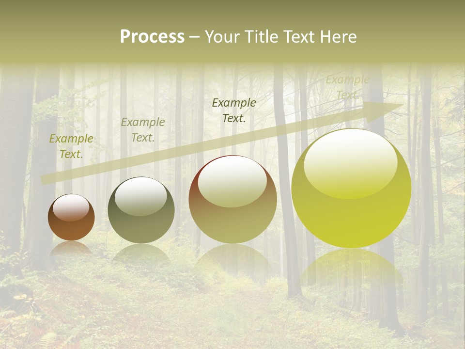 Vivid Branch Leaf PowerPoint Template