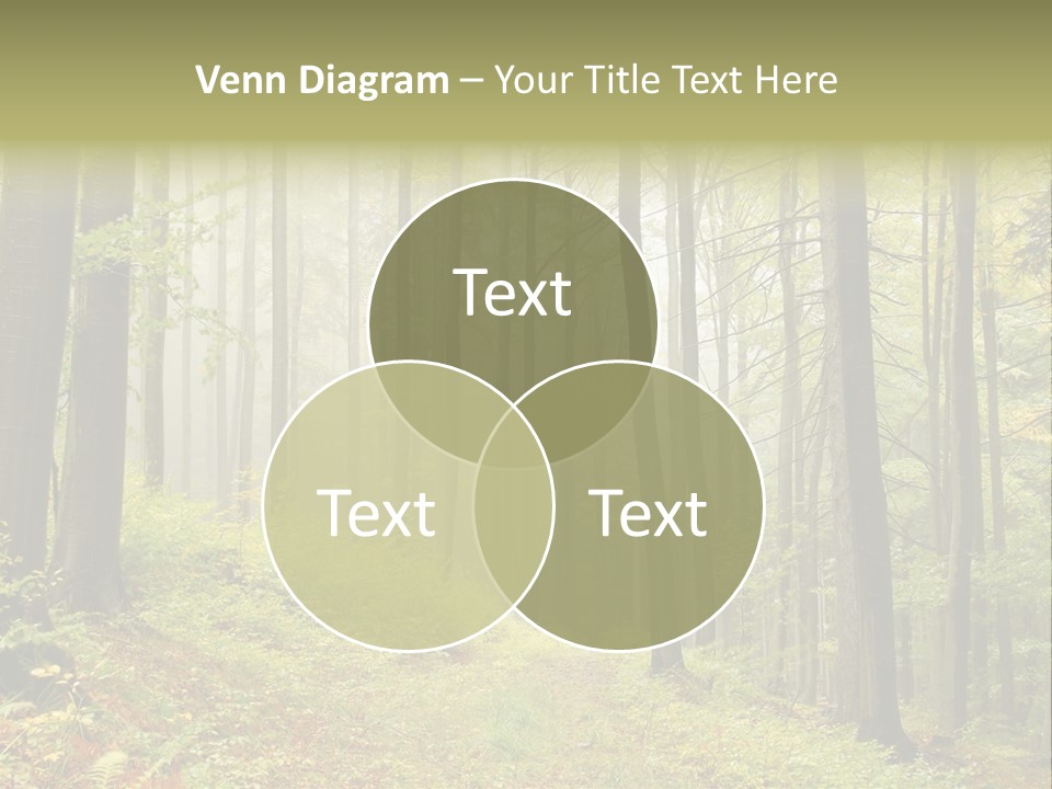 Vivid Branch Leaf PowerPoint Template