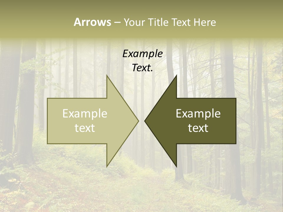 Vivid Branch Leaf PowerPoint Template