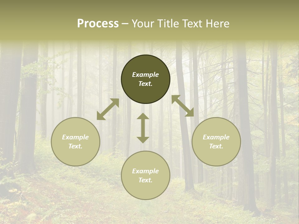 Vivid Branch Leaf PowerPoint Template