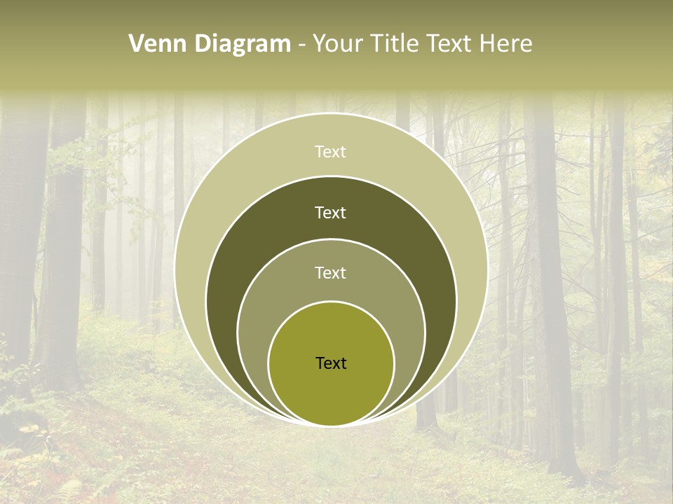 Vivid Branch Leaf PowerPoint Template