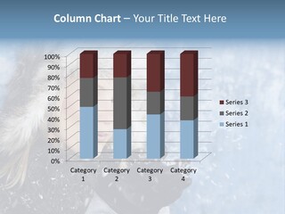 Autumn Winter Season PowerPoint Template