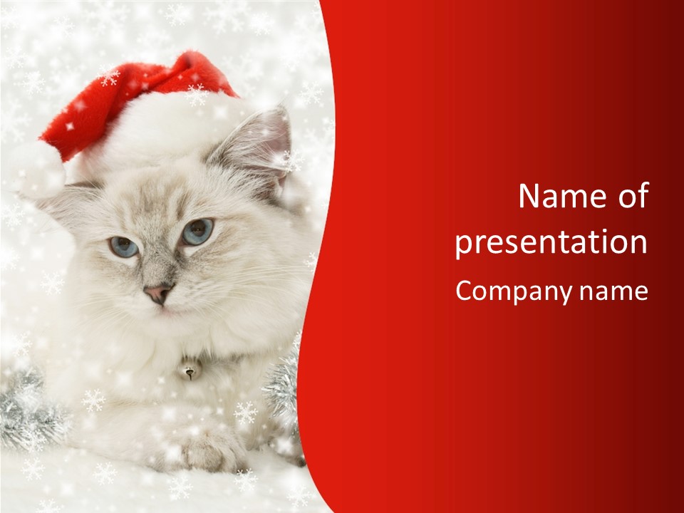 Balls Fluffy Feline PowerPoint Template