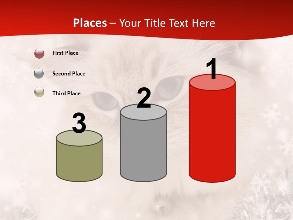 Balls Fluffy Feline PowerPoint Template