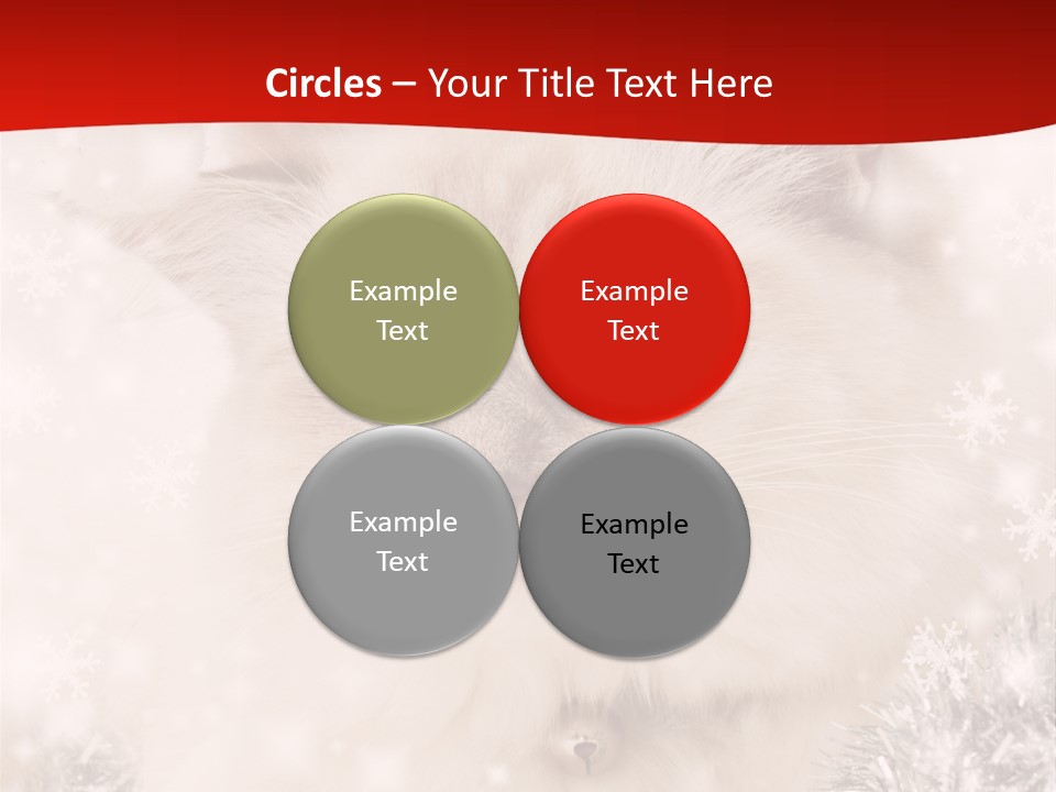 Balls Fluffy Feline PowerPoint Template
