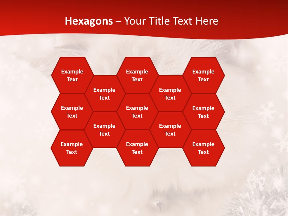 Balls Fluffy Feline PowerPoint Template