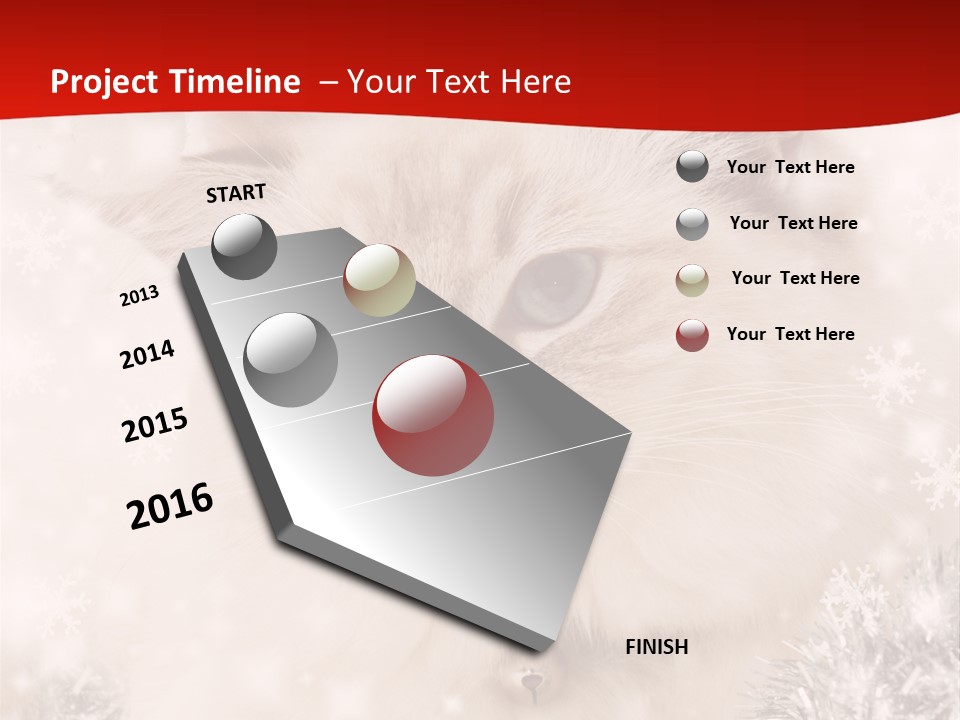 Balls Fluffy Feline PowerPoint Template