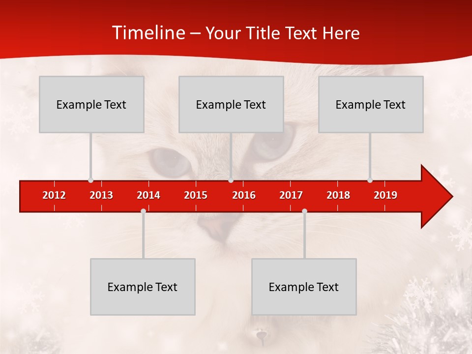 Balls Fluffy Feline PowerPoint Template