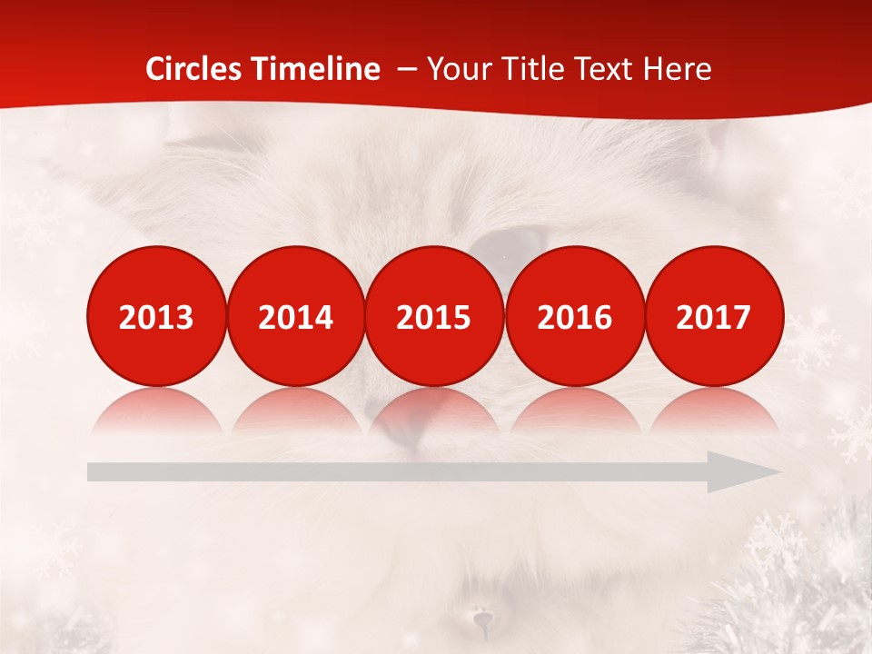 Balls Fluffy Feline PowerPoint Template