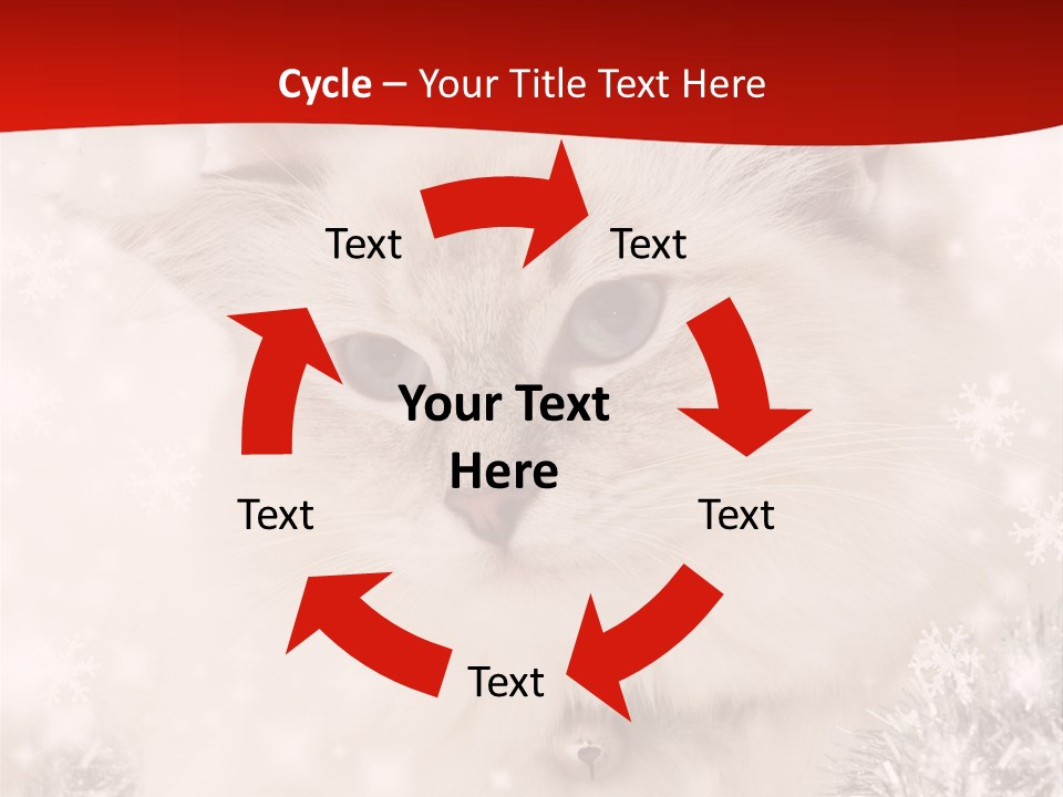 Balls Fluffy Feline PowerPoint Template