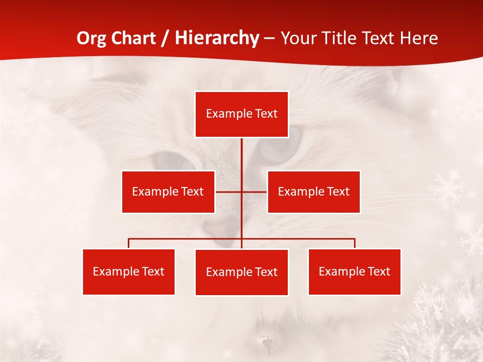 Balls Fluffy Feline PowerPoint Template