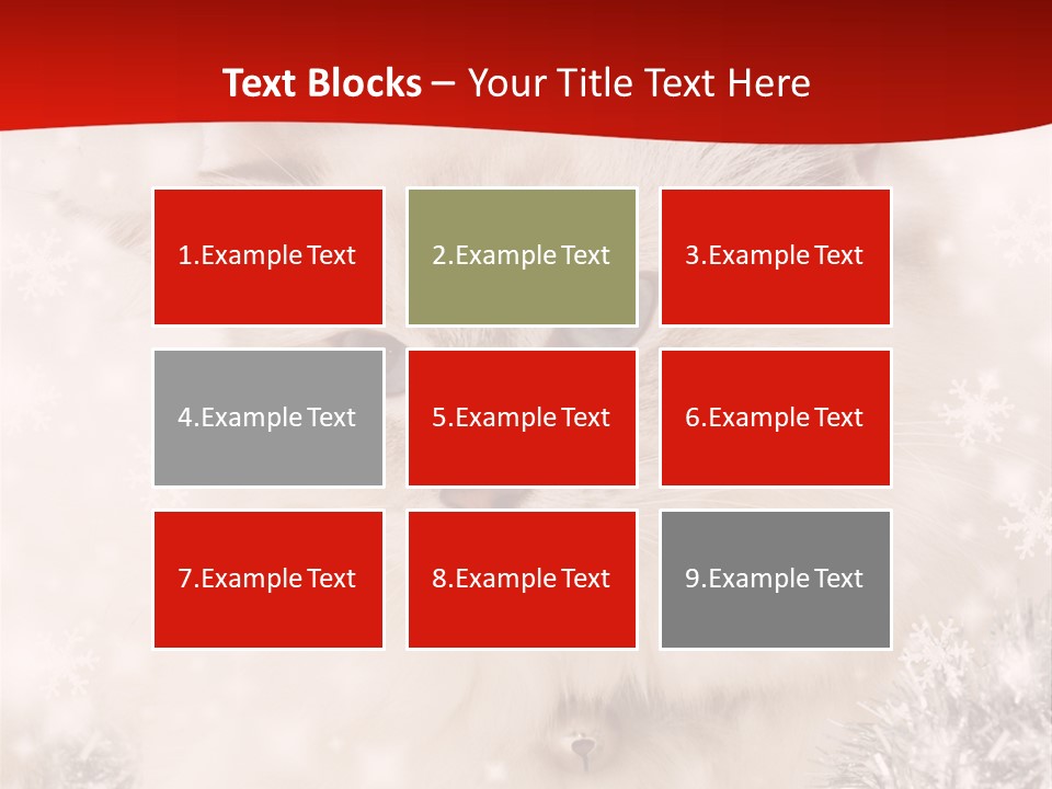 Balls Fluffy Feline PowerPoint Template