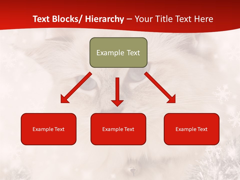 Balls Fluffy Feline PowerPoint Template