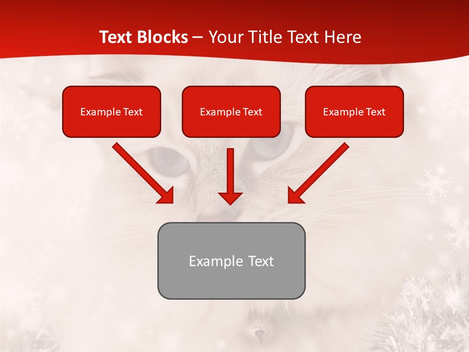 Balls Fluffy Feline PowerPoint Template