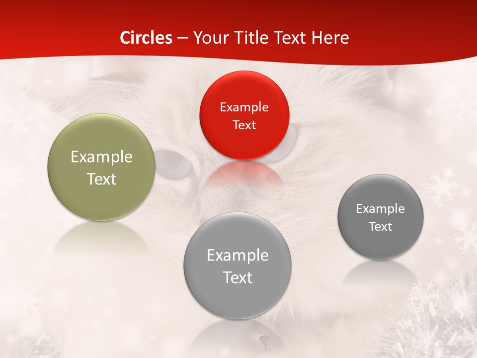 Balls Fluffy Feline PowerPoint Template