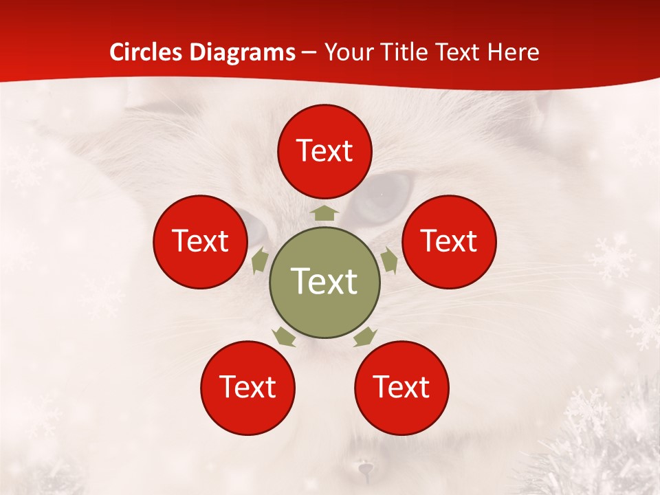 Balls Fluffy Feline PowerPoint Template