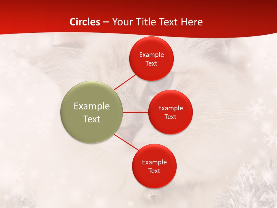 Balls Fluffy Feline PowerPoint Template