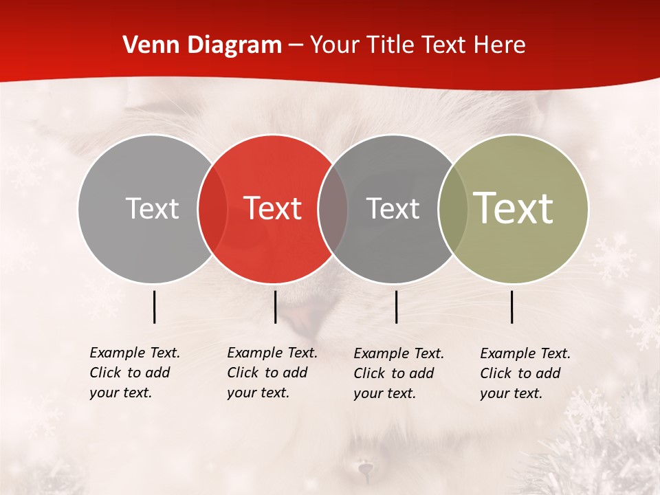 Balls Fluffy Feline PowerPoint Template