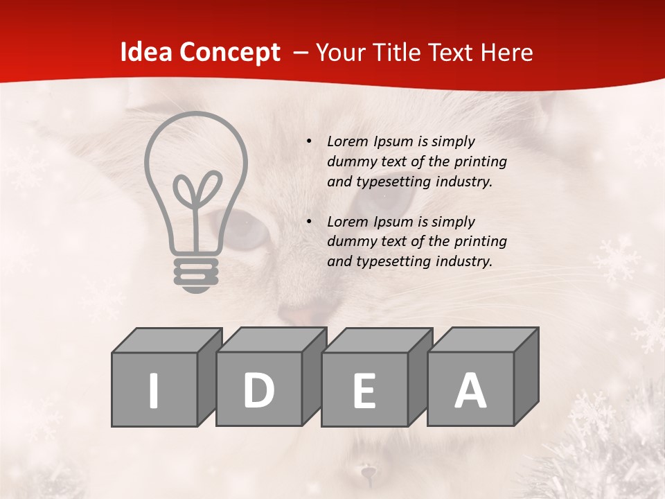 Balls Fluffy Feline PowerPoint Template