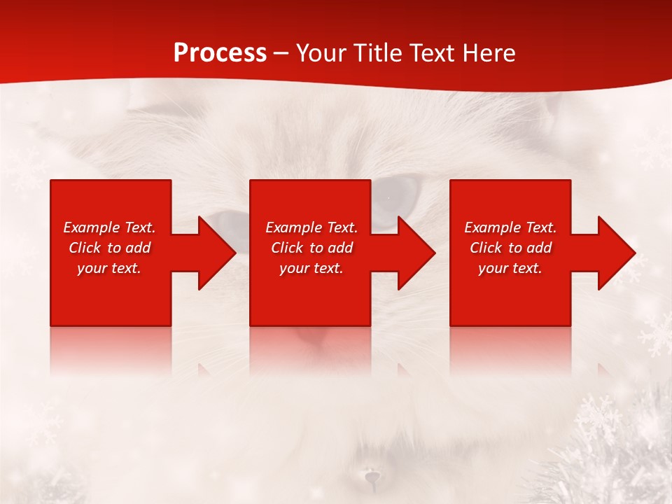 Balls Fluffy Feline PowerPoint Template