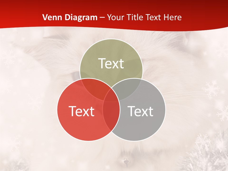 Balls Fluffy Feline PowerPoint Template
