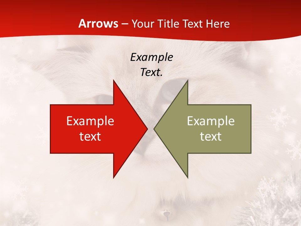 Balls Fluffy Feline PowerPoint Template