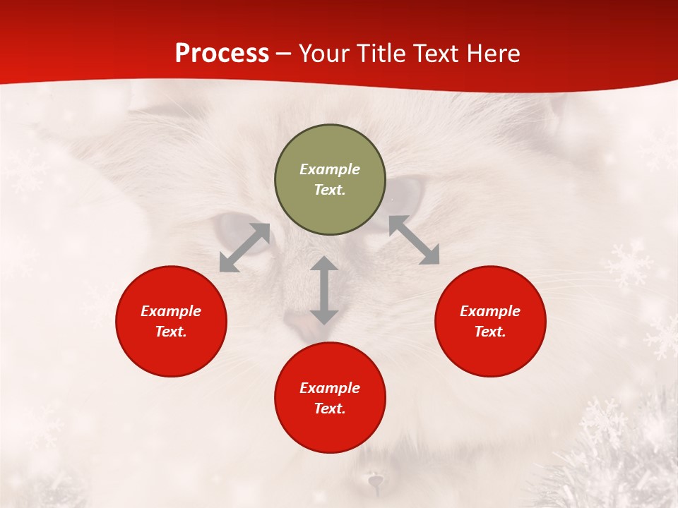 Balls Fluffy Feline PowerPoint Template