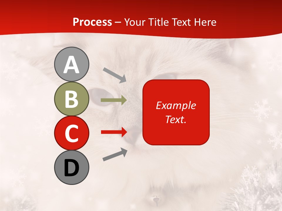 Balls Fluffy Feline PowerPoint Template