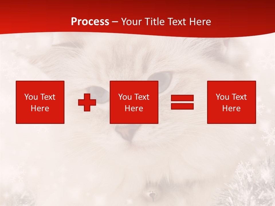 Balls Fluffy Feline PowerPoint Template