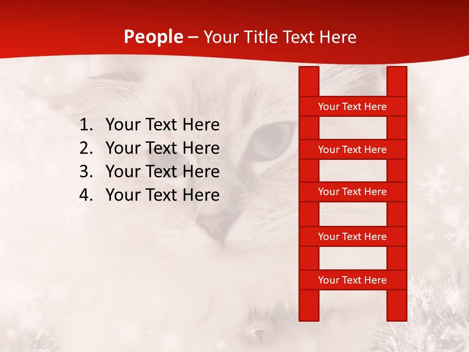 Balls Fluffy Feline PowerPoint Template