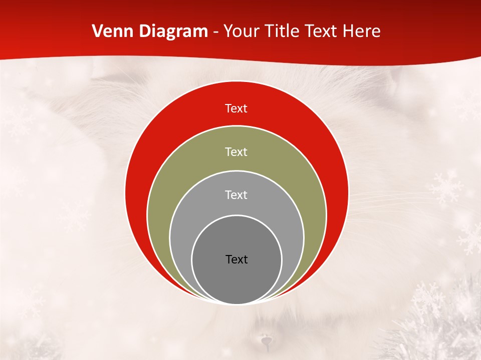 Balls Fluffy Feline PowerPoint Template