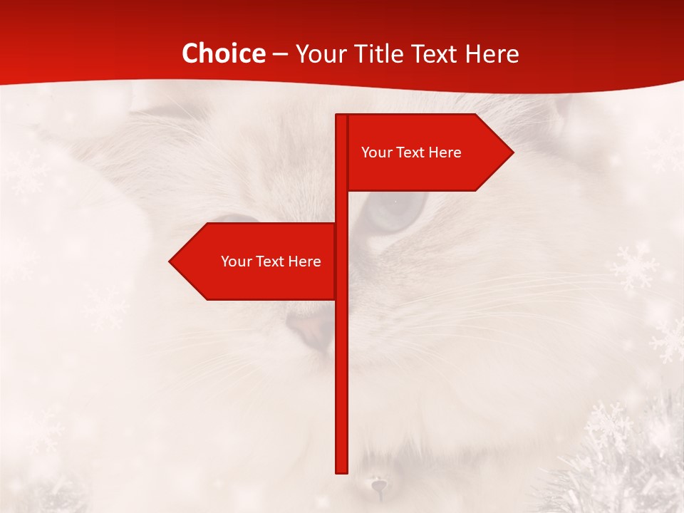 Balls Fluffy Feline PowerPoint Template