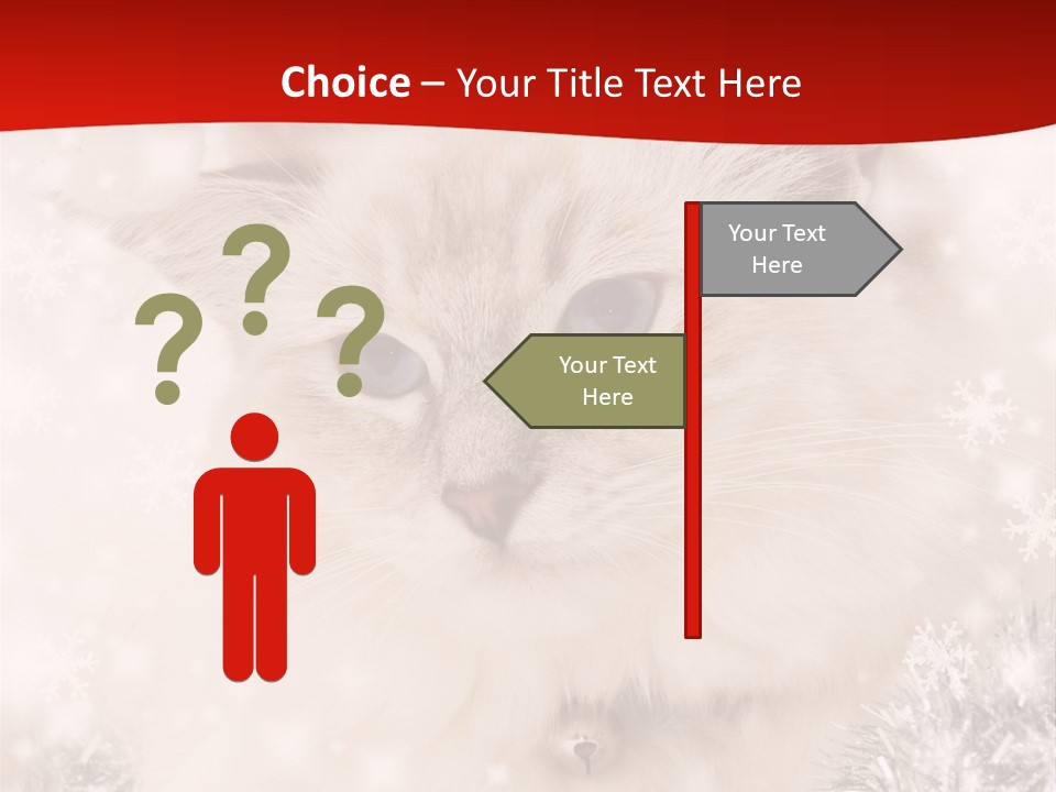 Balls Fluffy Feline PowerPoint Template